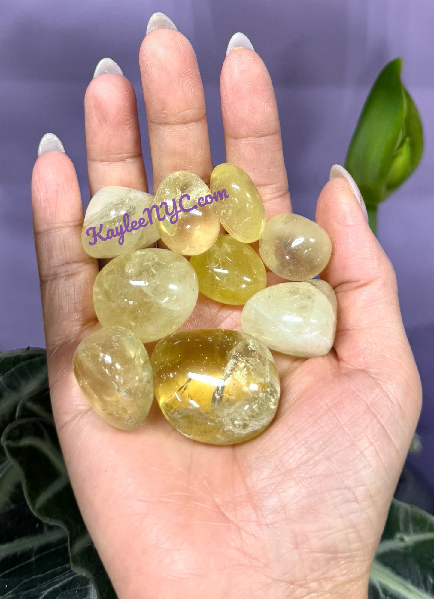 Wholesale Lot 2 Lbs Natural Lemon Quartz Tumble Healing Energy