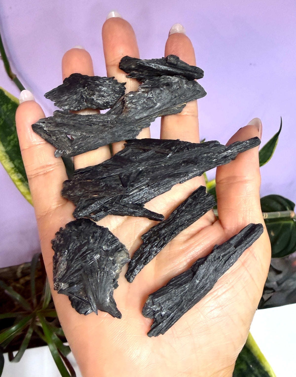 Wholesale Lot 1 Lb Natural Black Kyanite Crystal Healing Energy Nice Quality