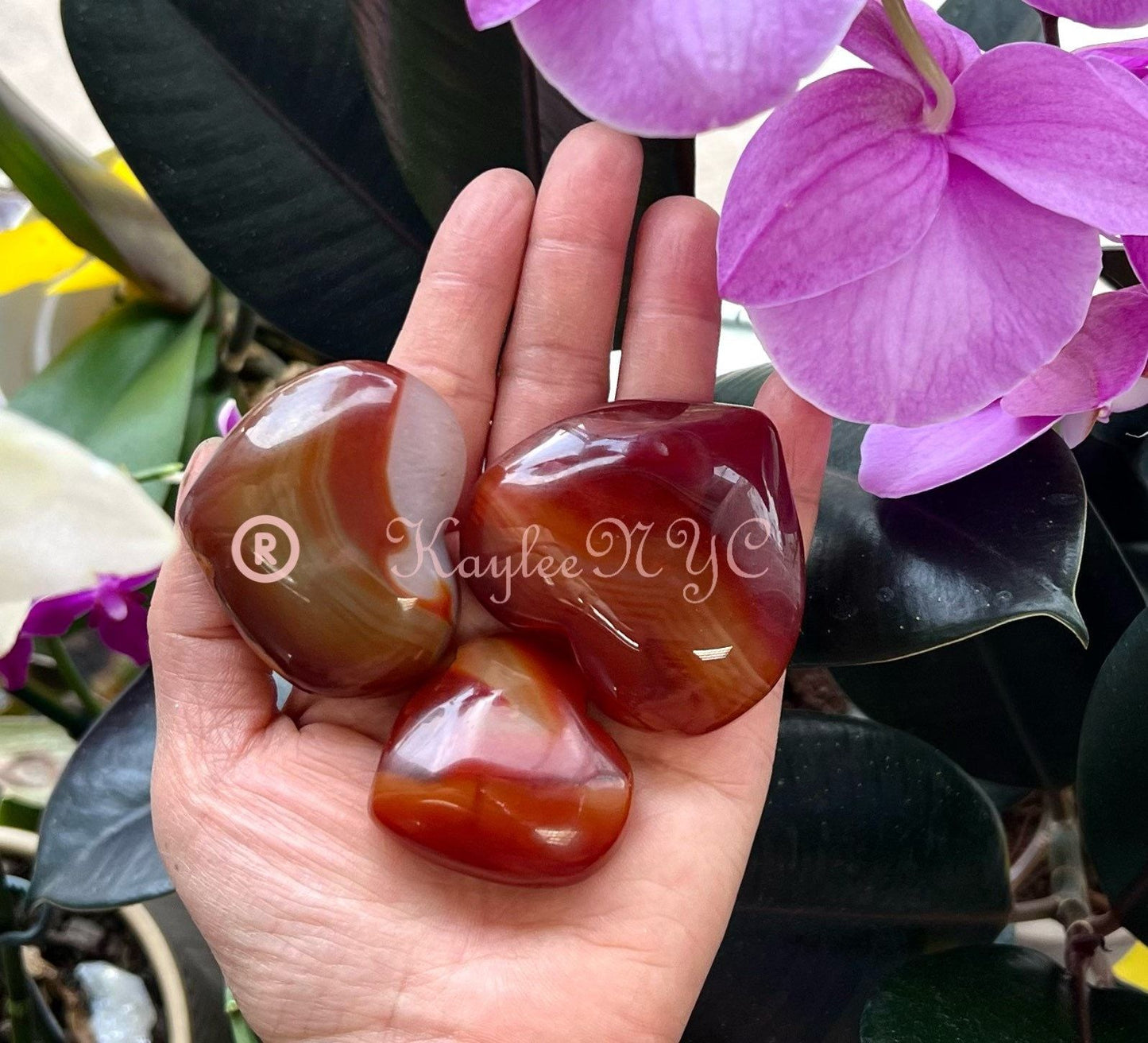 Wholesale Lot 2 lb Natural Carnelian Crystal Heart Healing Energy