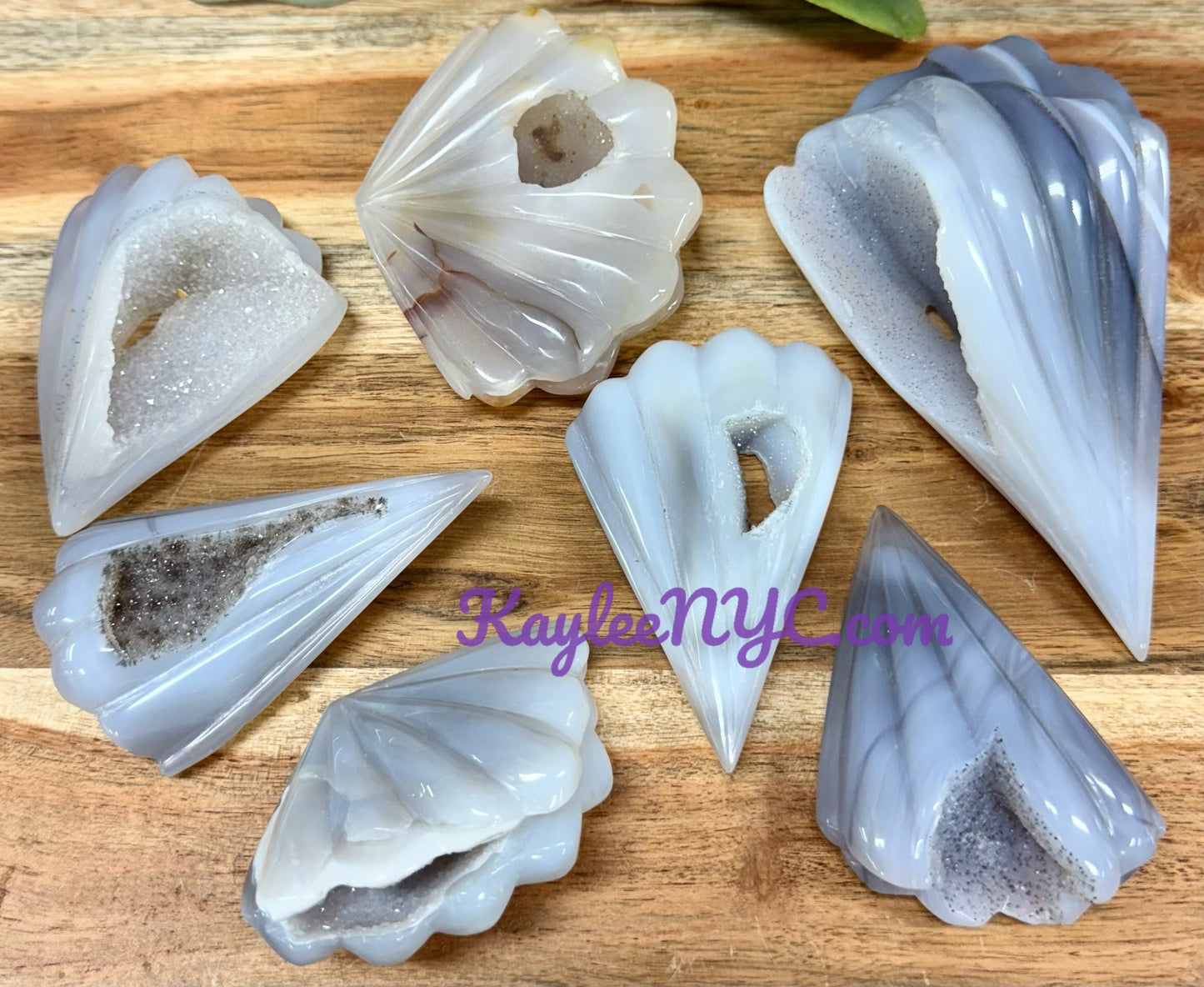 6-9 PCs Natural Druzy Agate Shell Crystals Healing Energy