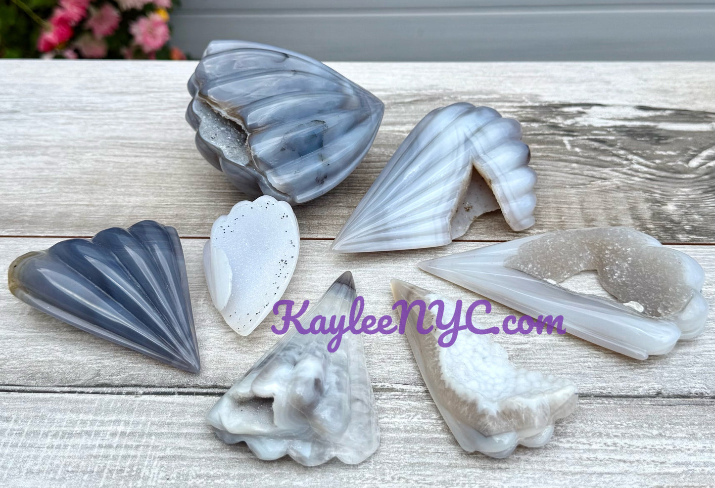 6-9 PCs Natural Druzy Agate Shell Crystals Healing Energy