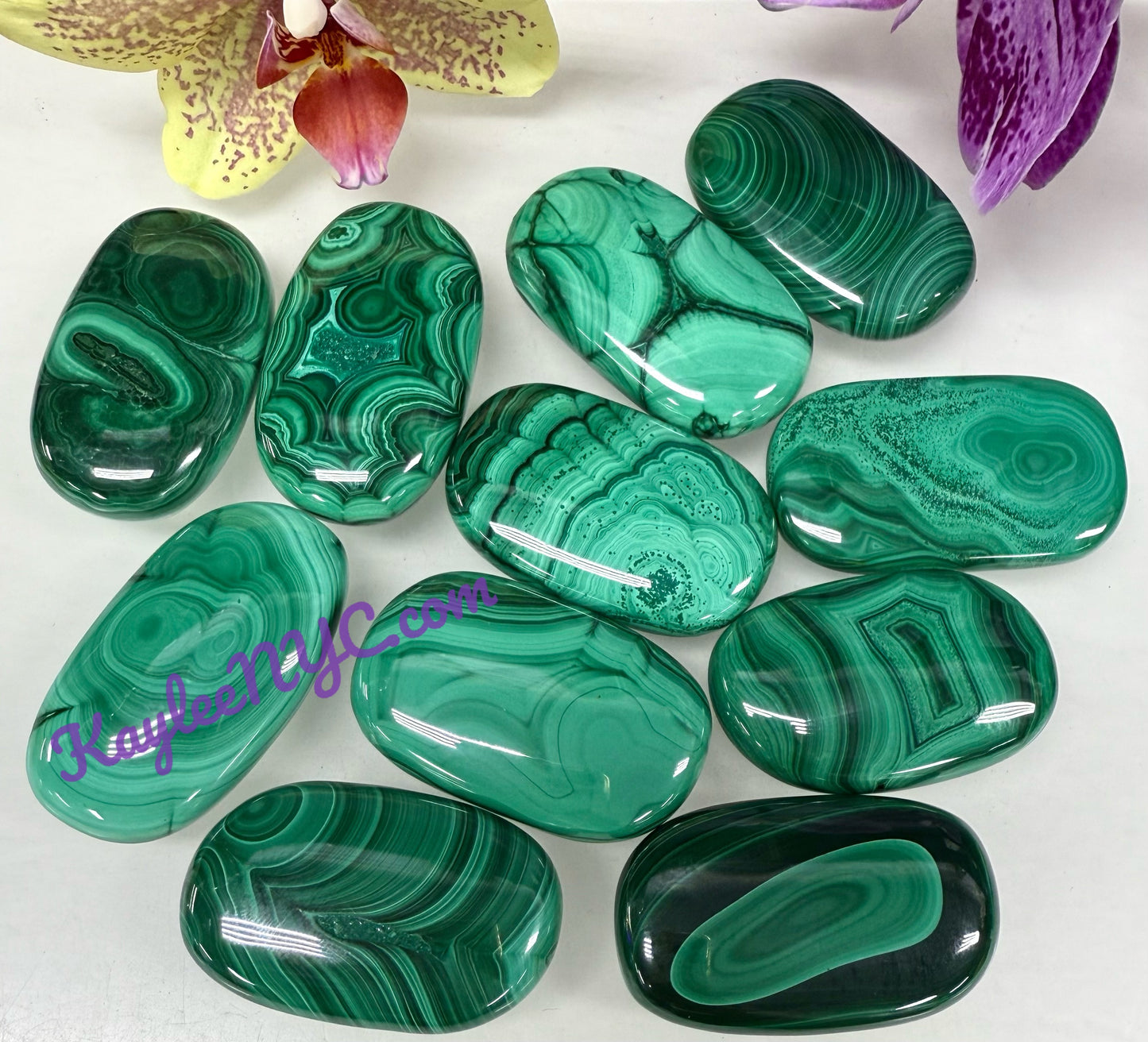 Wholesale Lot 1 lbs Natural Malachite Palm Stones Crystal Natural Energy