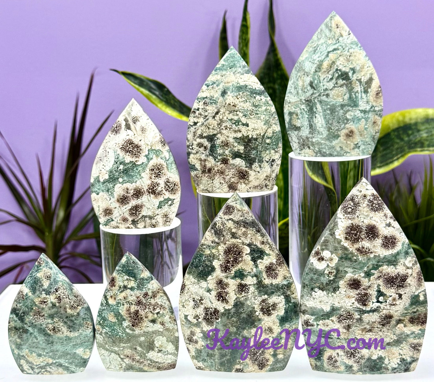6-7 PCs Natural Green Flower Jasper Freeform Crystal bulk wholesale