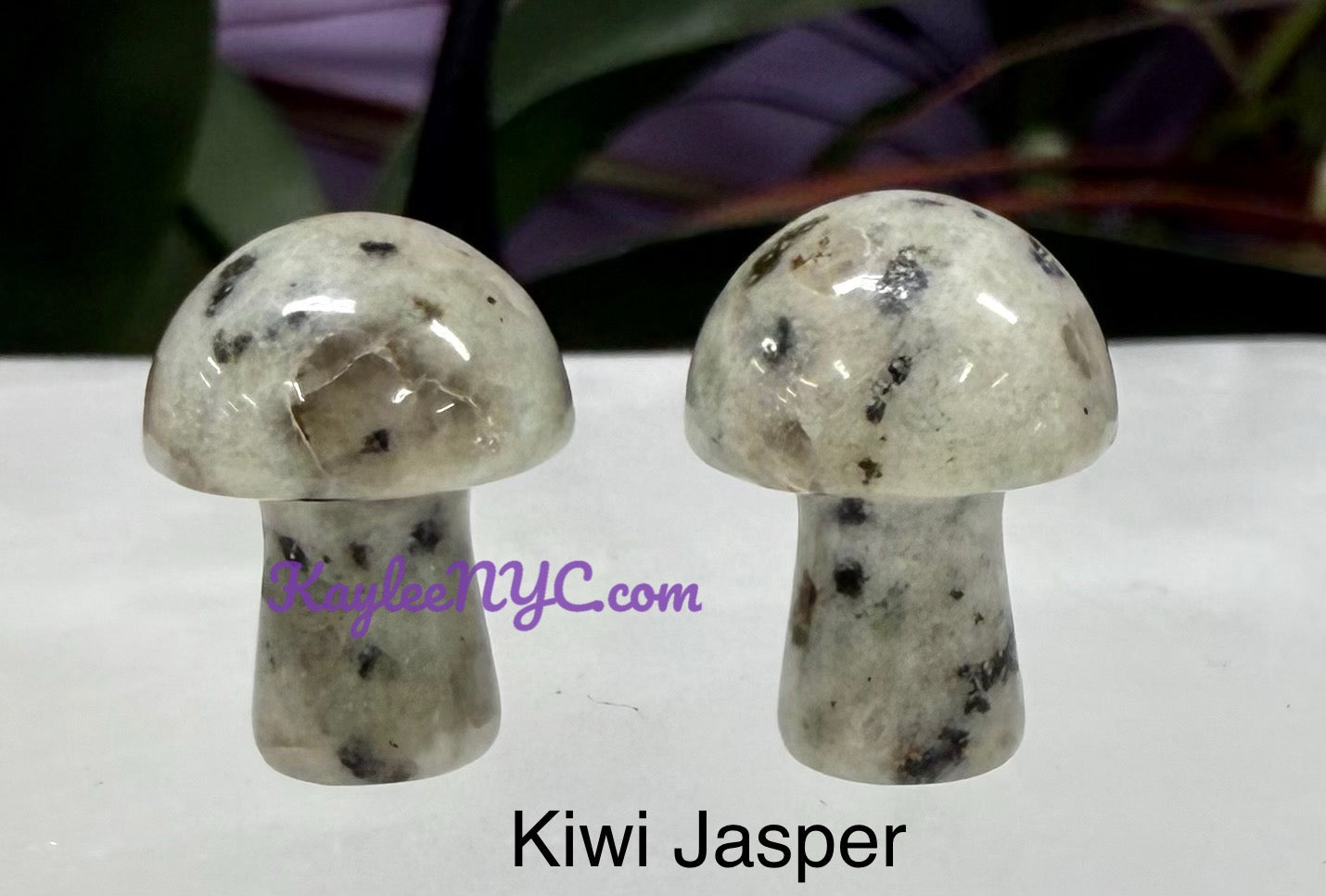 Wholesale Lot 50 PCs Mixed Crystal Mushroom 19mm Healing Energy