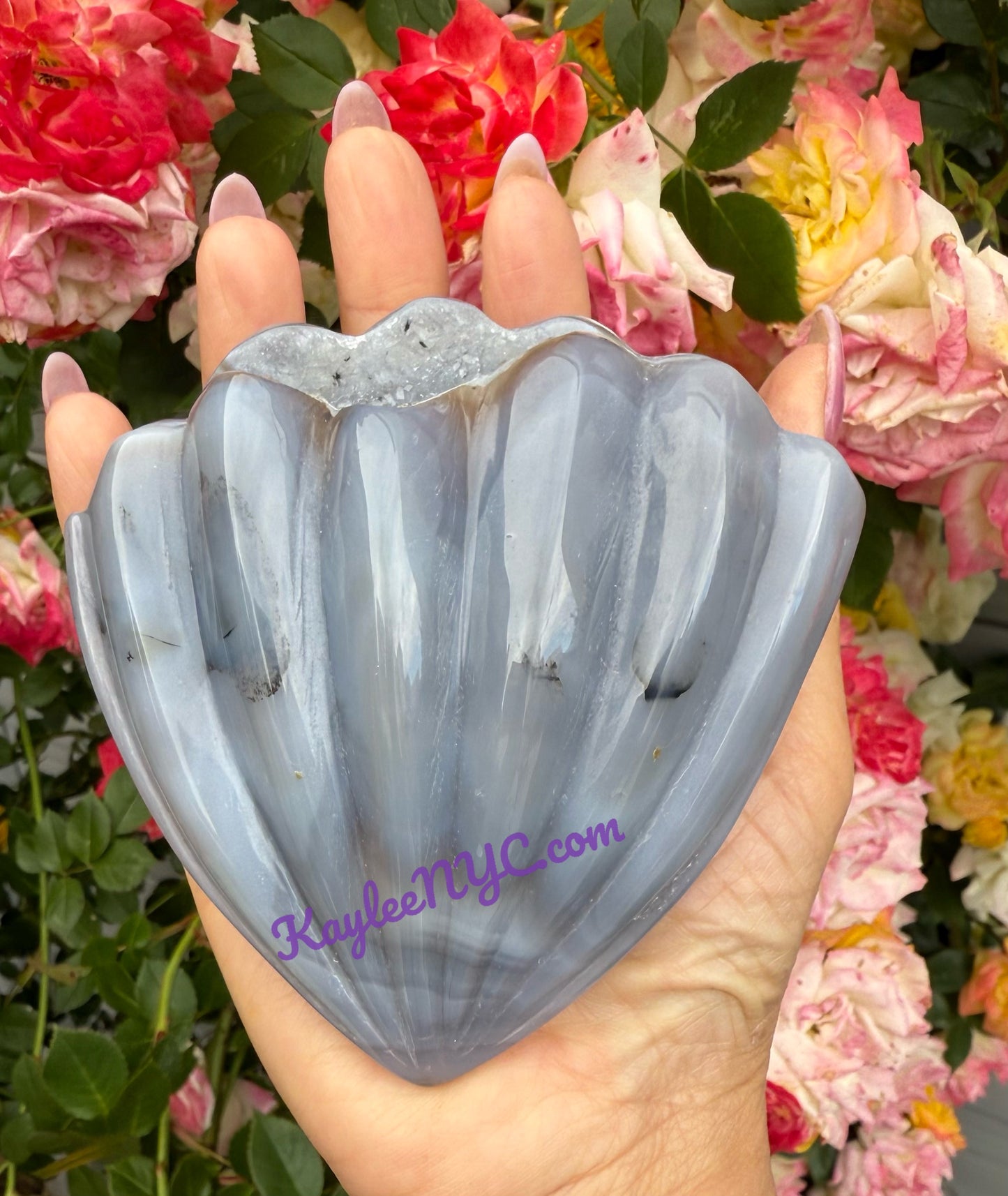 6-9 PCs Natural Druzy Agate Shell Crystals Healing Energy