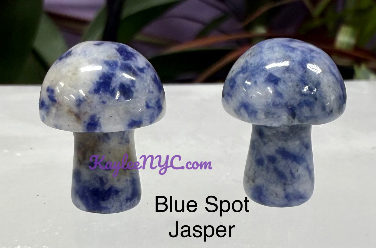Wholesale Lot 50 PCs Mixed Crystal Mushroom 19mm Healing Energy