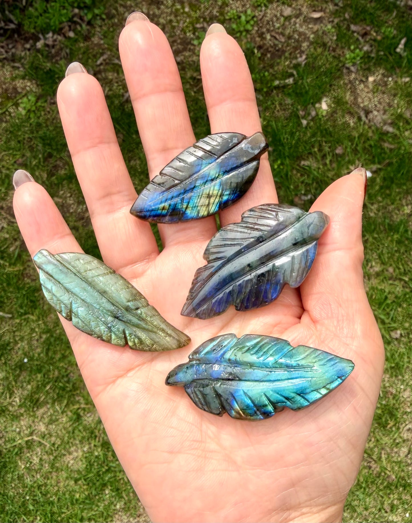 6 PCs Natural Labradorite Leaf Carvings Crystal Healing Energy