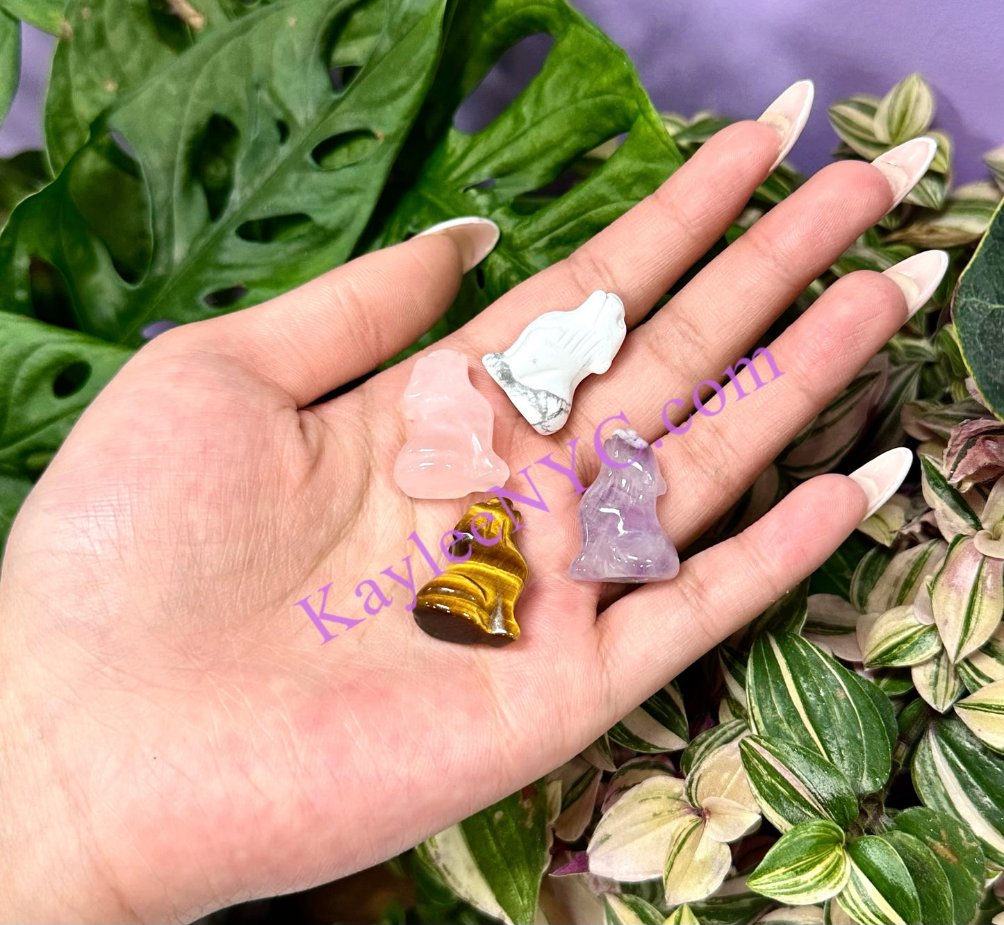 18 PCs 1” Natural Crystal Wolf