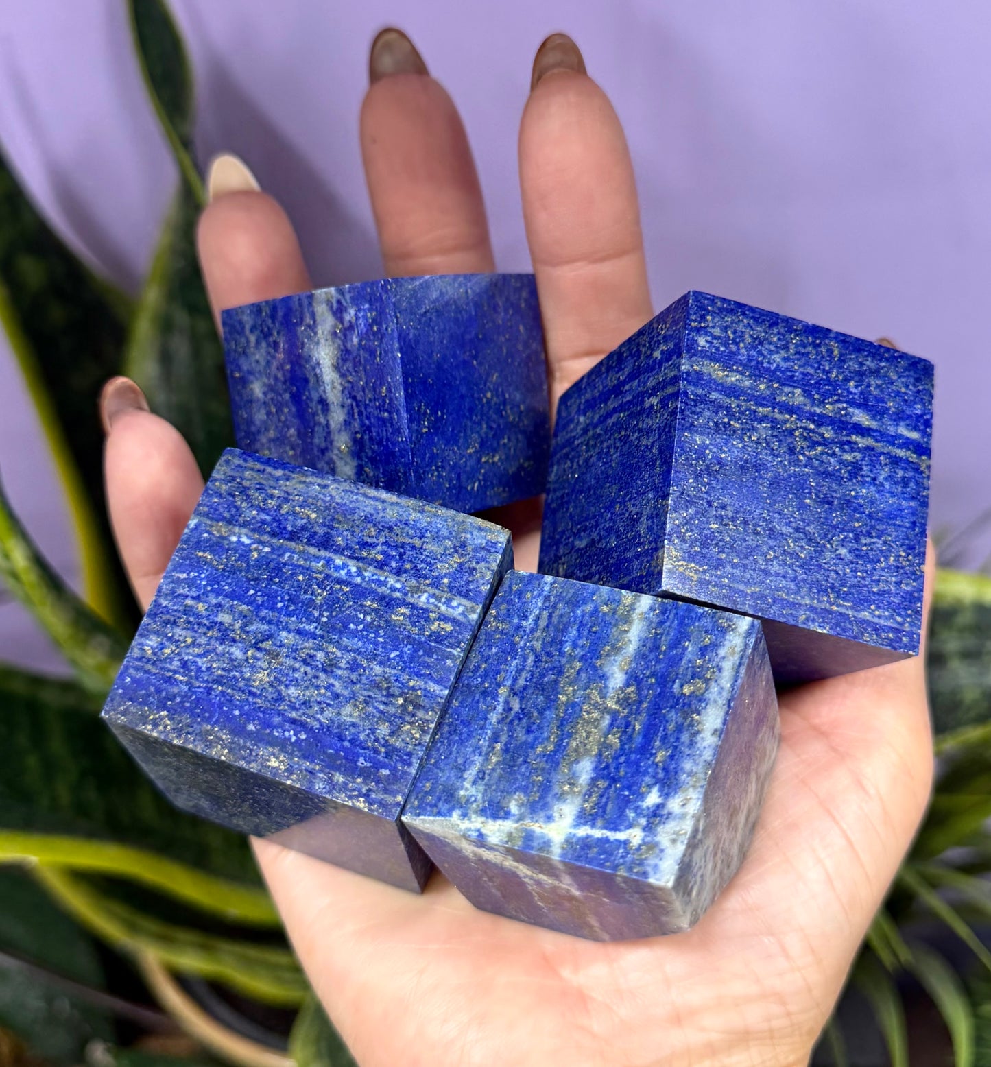 Wholesale Lot 2 lbs Natural Lapis Lazuli Cube Crystal Healing Energy