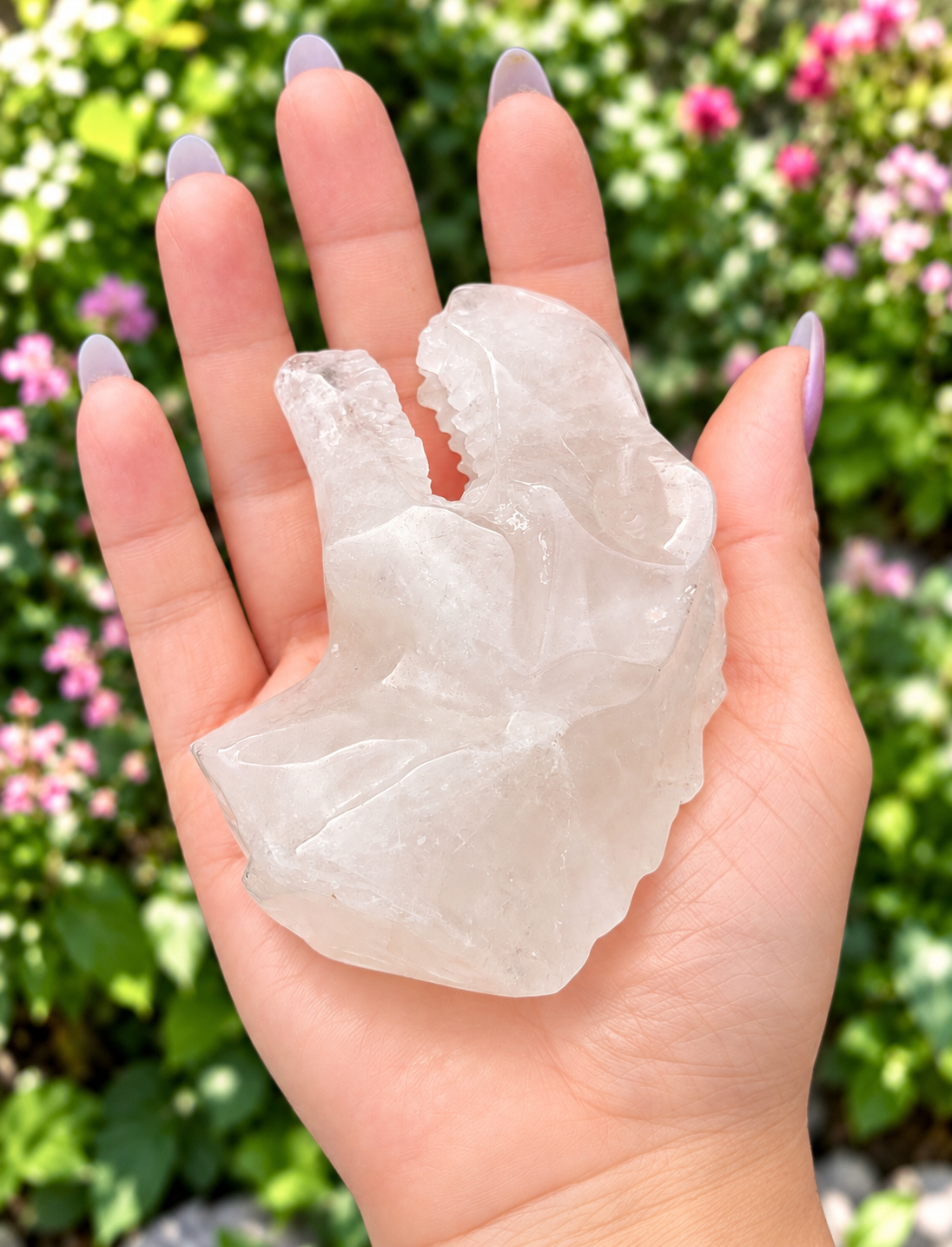 3 PCs Natural Clear Quartz Dinosaur Crystal Healing Energy
