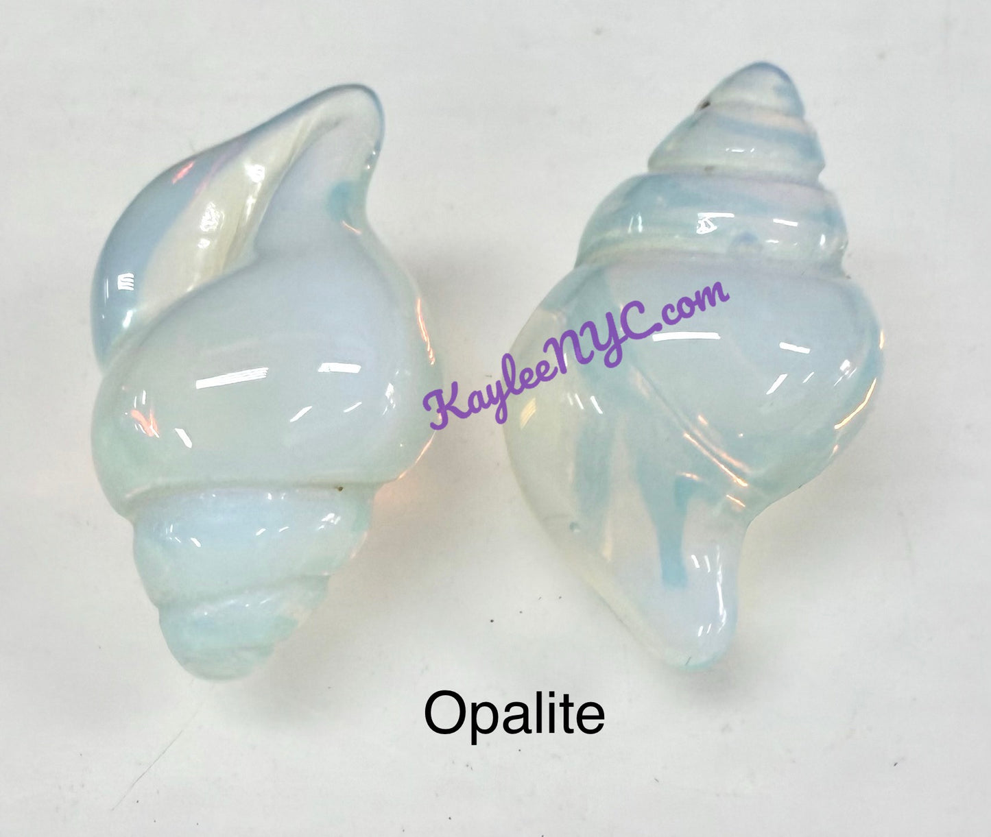 16 PCs 30mm Natural Crystals Sea Shell