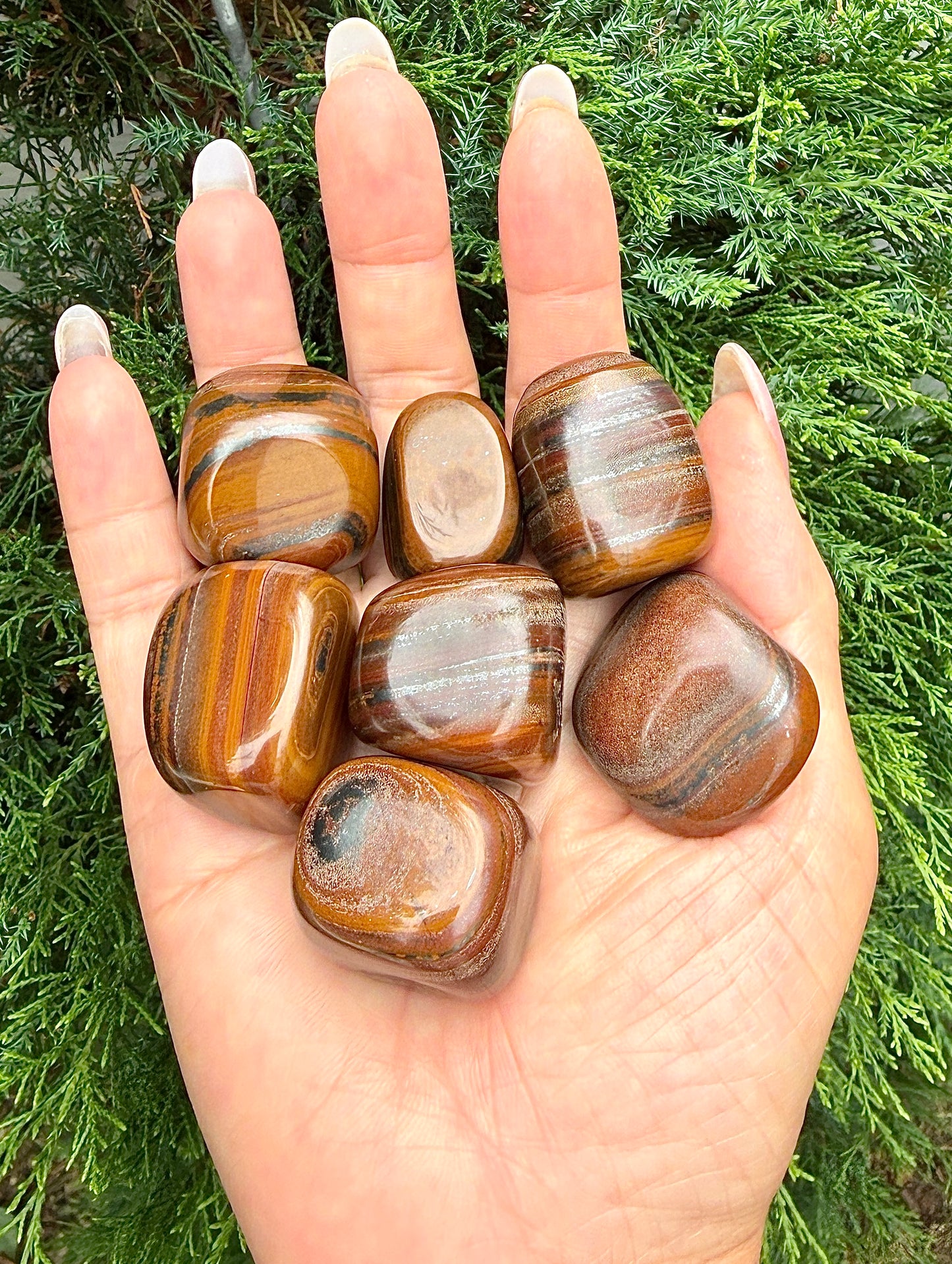 Wholesale Lot 2 Lbs Natural Tiger Iron Tumble Healing Energy