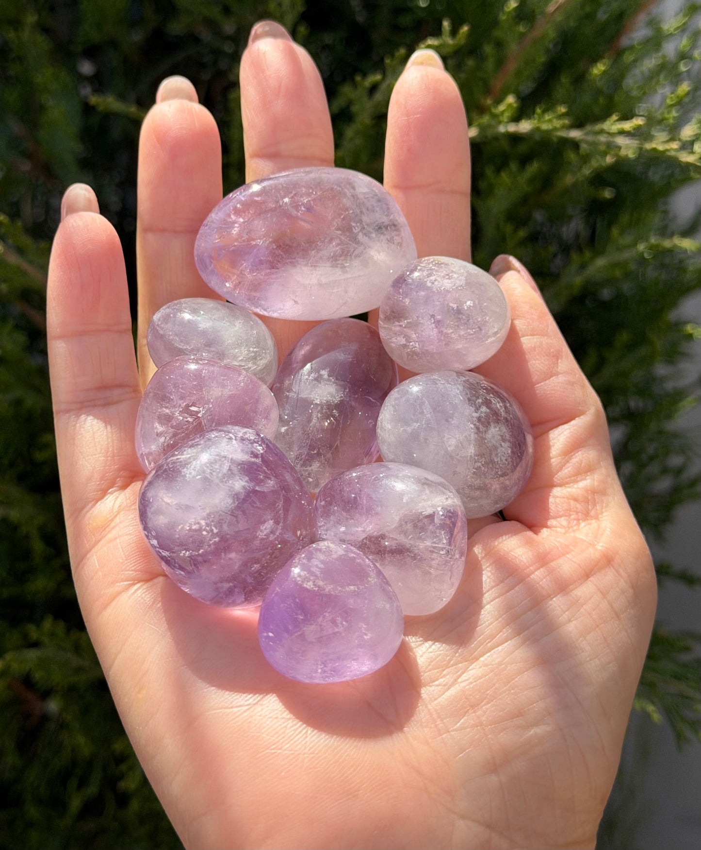 2 lbs Natural Amethyst Tumble Crystals healing energy