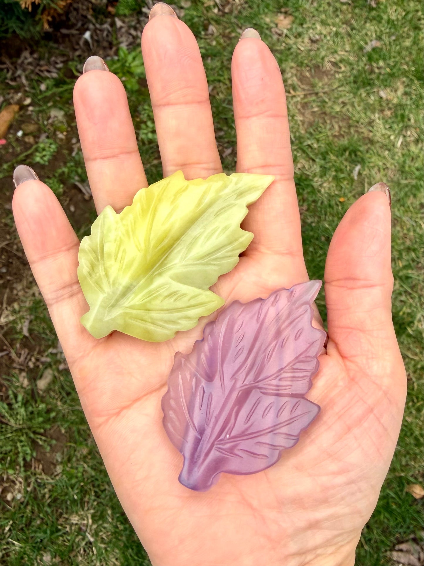 8 PCs Natural Purple Fluorite and Olive Jade Leaf
