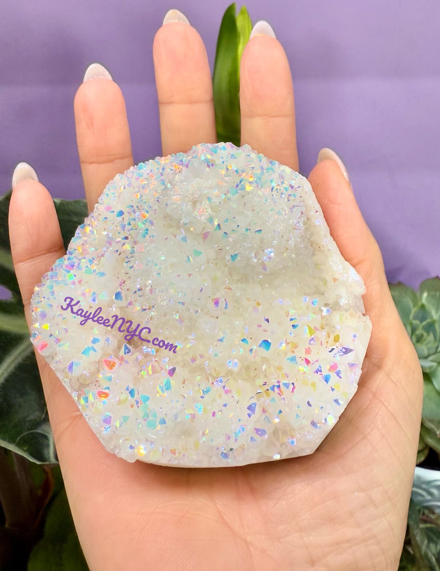 Wholesale Lot 2 Lbs Angel Aura Quartz Cluster Crystal Raw Nice Quality