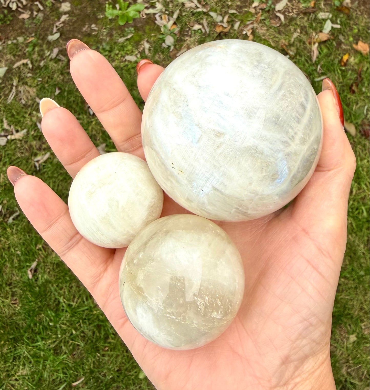 Wholesale Lot 5 Pcs Natural Moonstone Spheres Crystal Ball 1.9-2 Lb Healing Energy