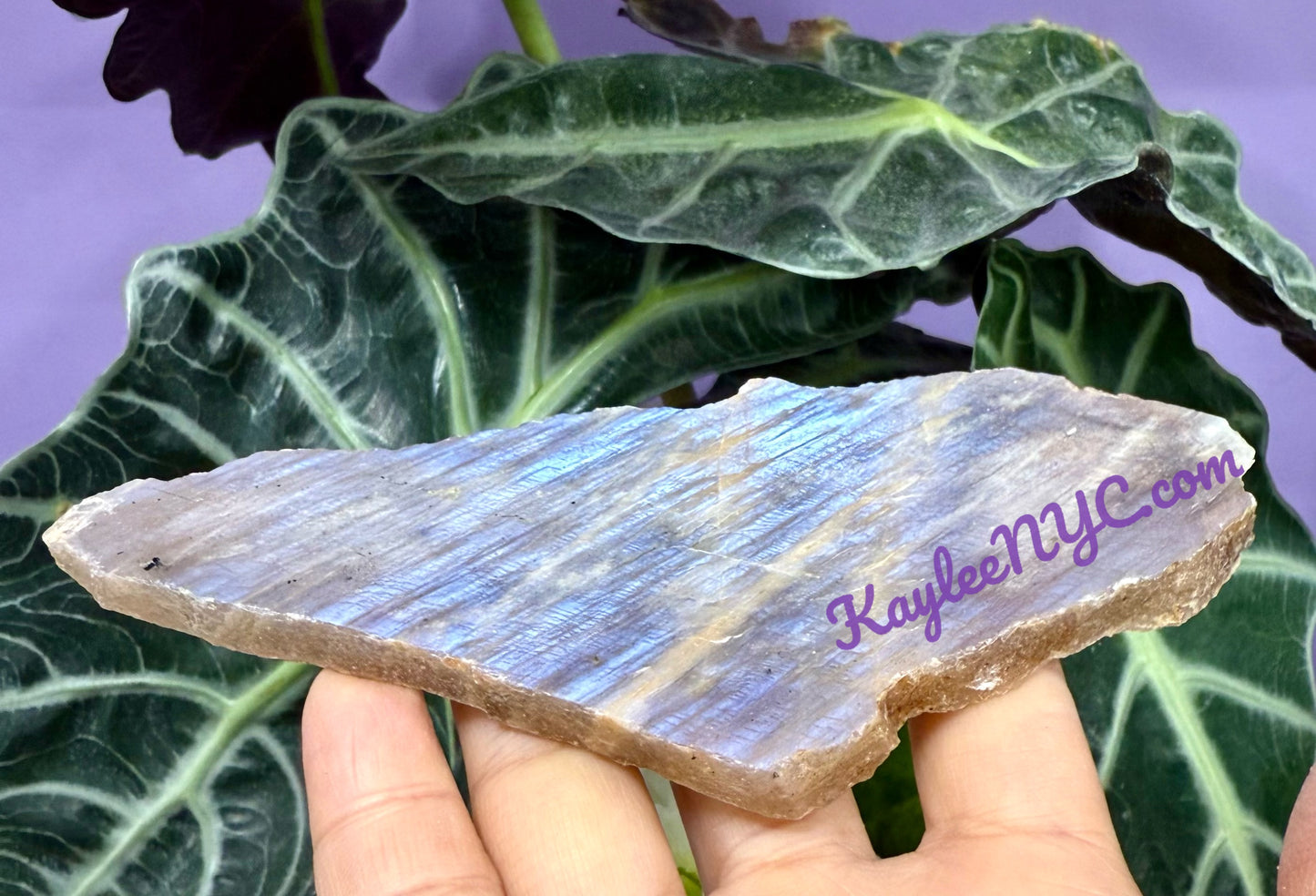 Wholesale Lot 2 lbs Natural Moonstone Slab Crystals healing energy