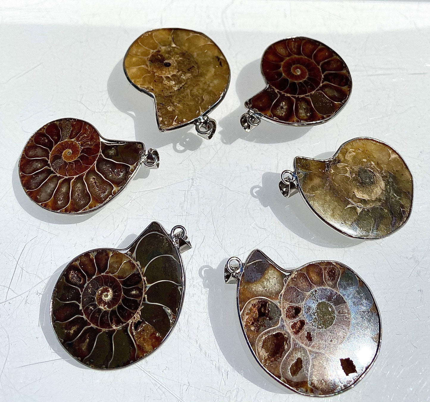 Wholesale Lot 12 Pcs Ammonite Pendant with Rhodium Findings Healing Crystal Energy