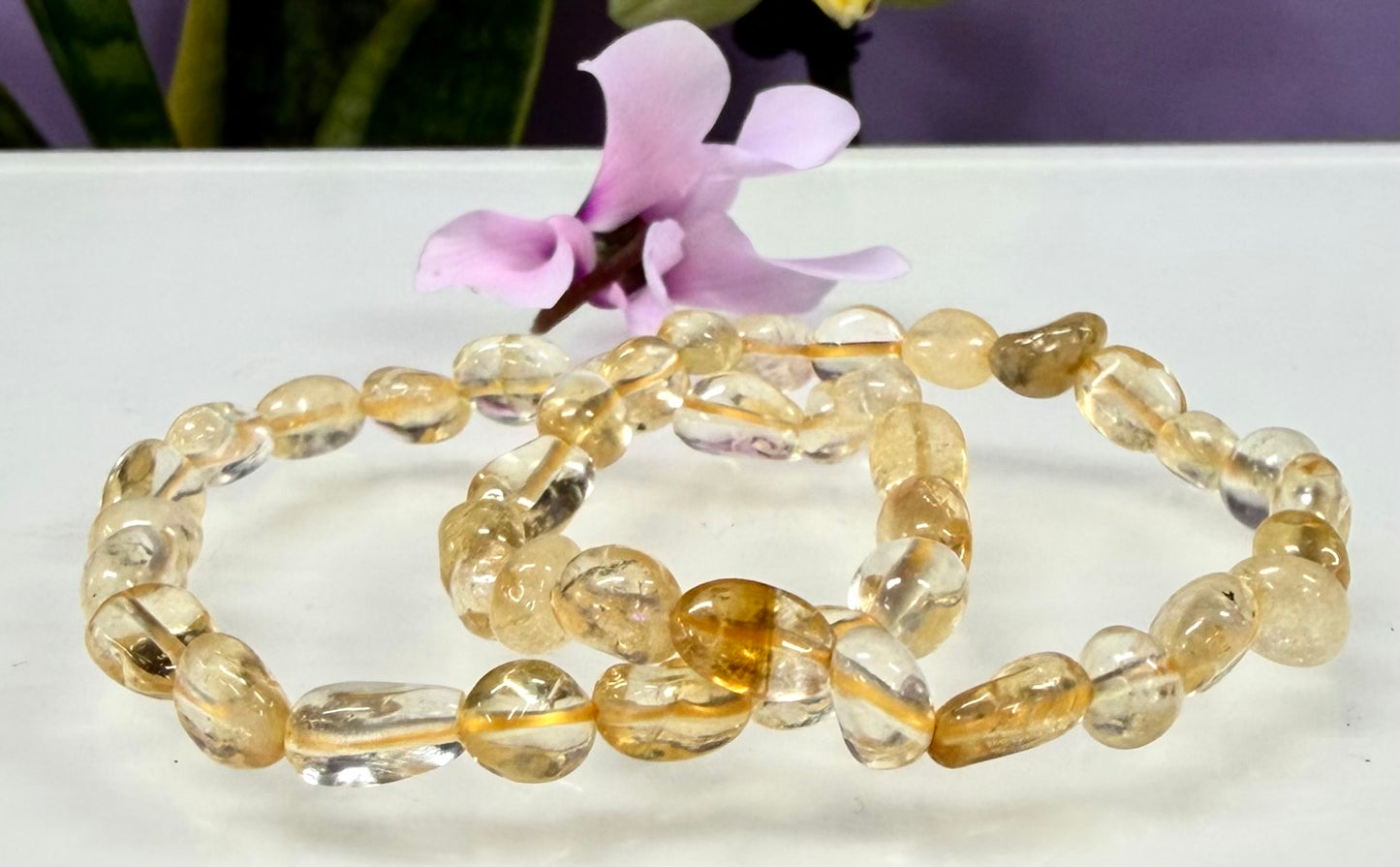 Wholesale 6 Pcs Citrine tumble Stretch Bracelet Crystal Healing Energy 6x8mm 7.5”