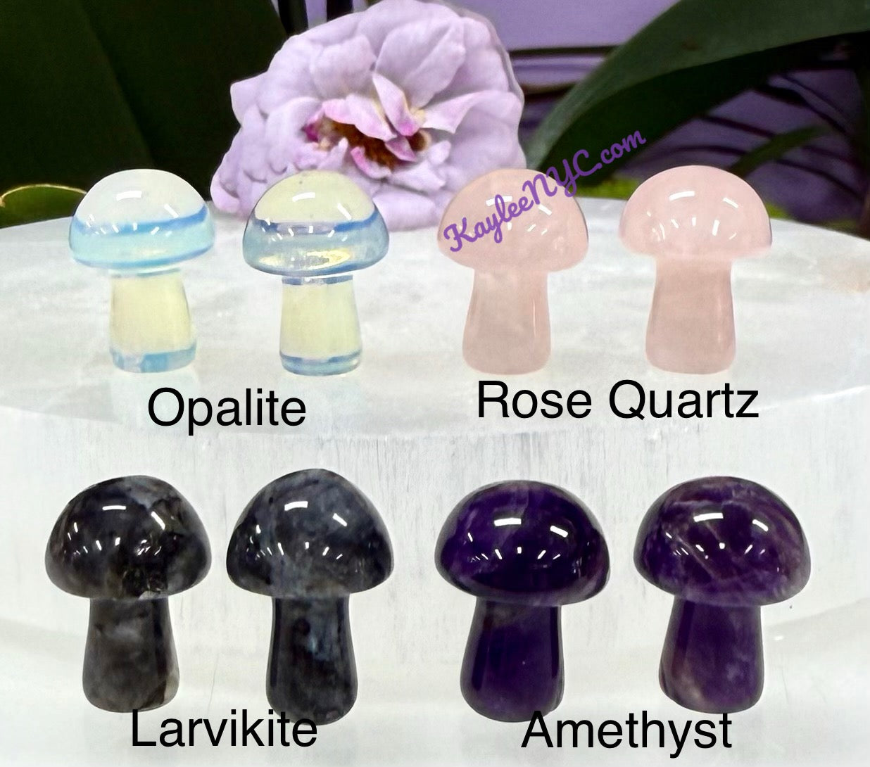 Wholesale Lot 50 PCs Mixed Crystal Mushroom 20mm Healing Energy