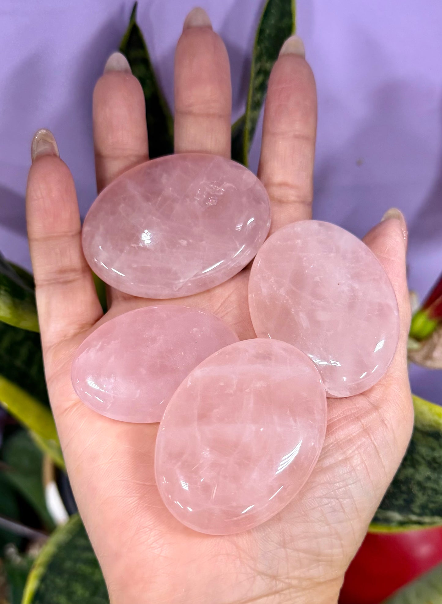 Wholesale Lot 1 lbs Natural Rose Quartz Palm Stones Crystal Natural Energy