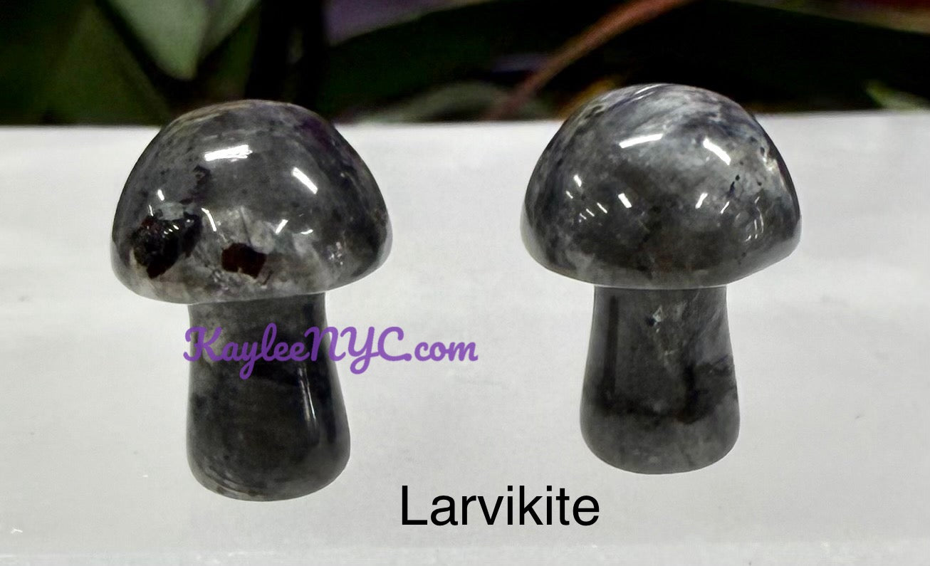 Wholesale Lot 50 PCs Mixed Crystal Mushroom 19mm Healing Energy