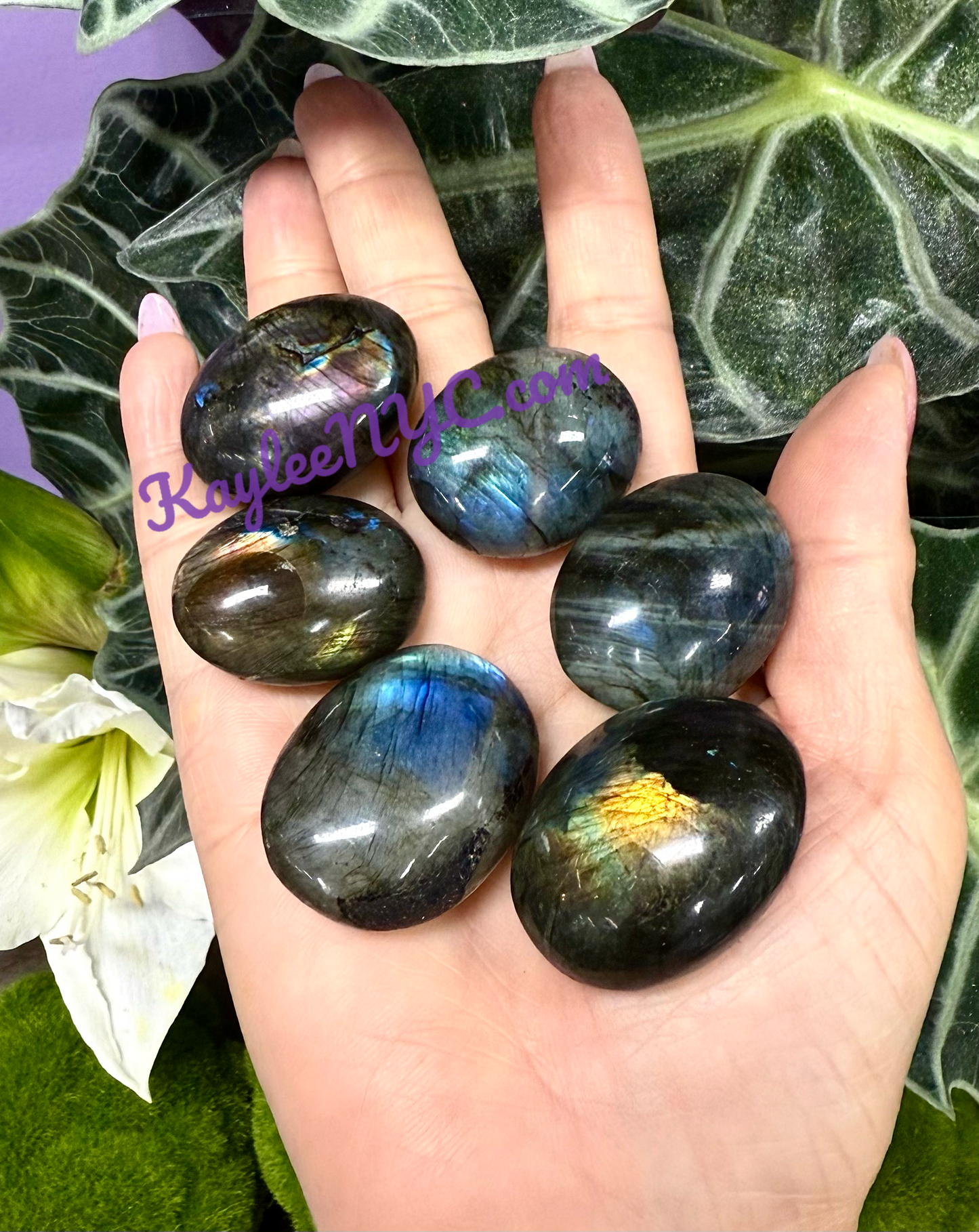 Wholesale Lot 2 Lbs Natural Labradorite Tumble Healing Energy Nice Quality