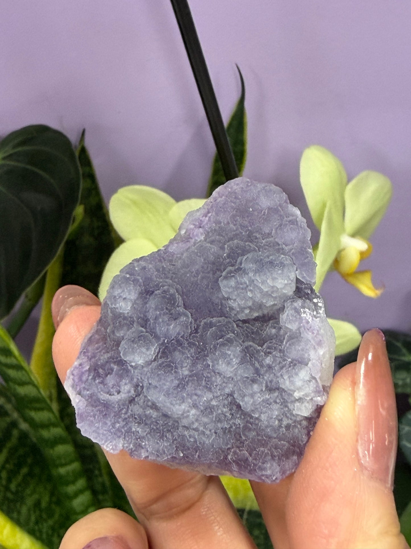 6-8 pcs Natural Purple Fluorite Quartz specimen Crystal