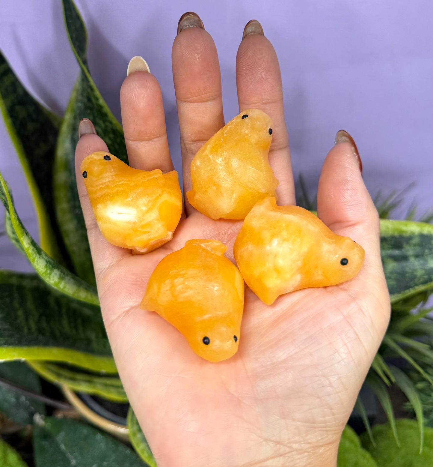 10 PCs 4cm Natural Orange Calcite Chick Crystal Healing Energy