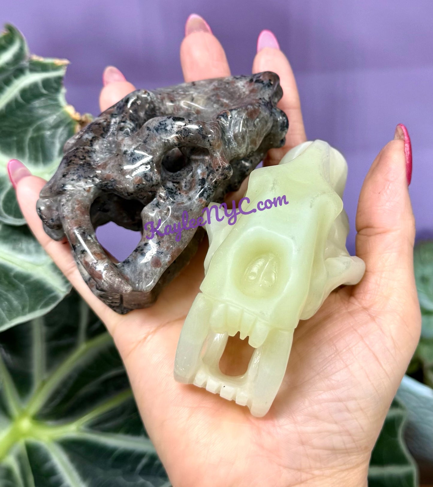 Wholesale lot 3 Pcs 9cm Mix Natural Crystals Sabertooth Skull healing energy