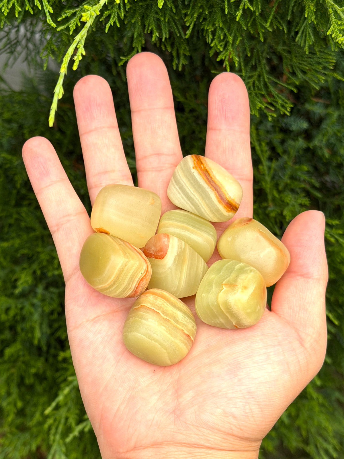 2 lbs Natural Green Onyx Tumble Crystal Healing Energy