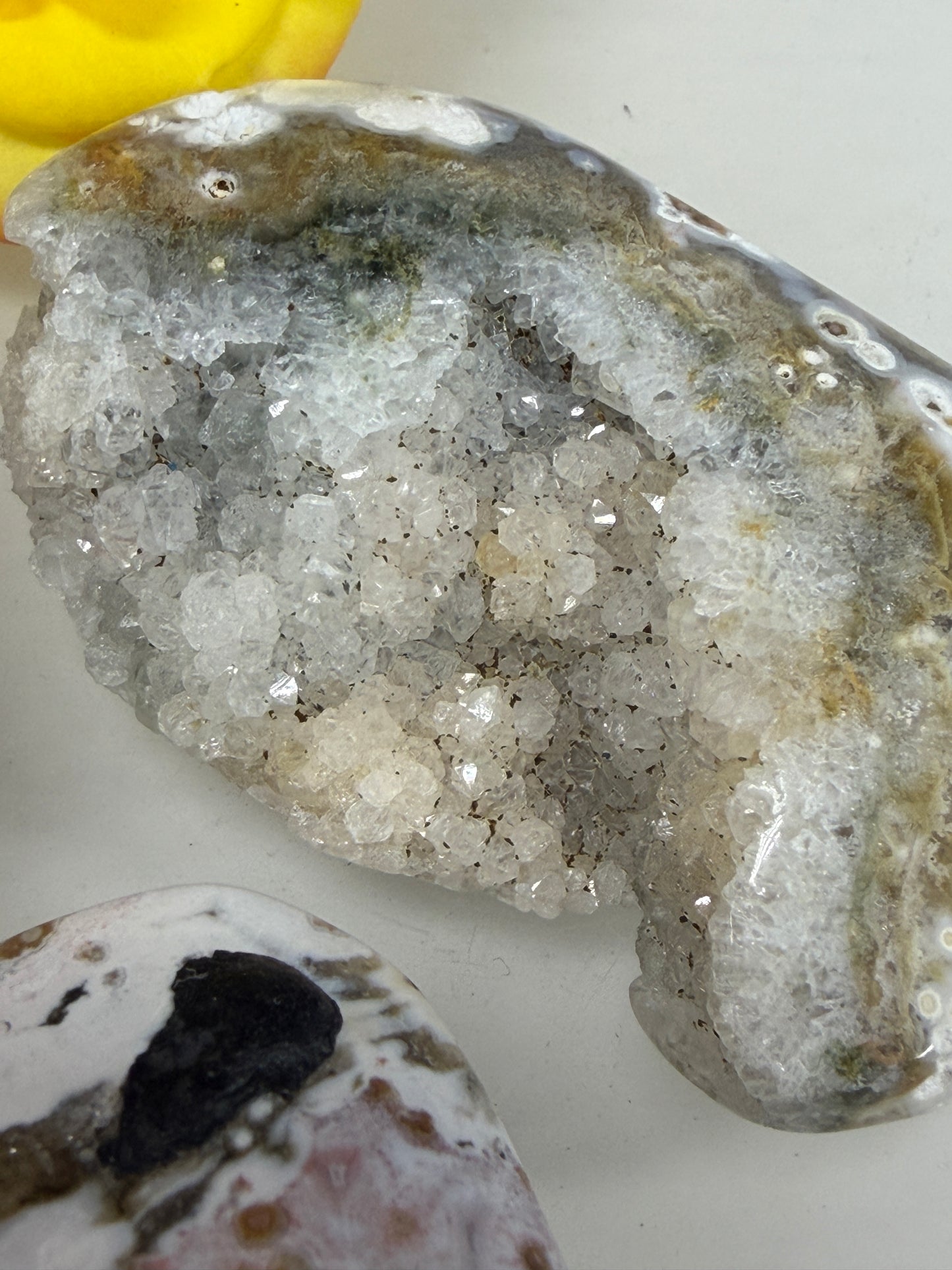 Wholesale 1 lb Lot Natural Ocean Jasper Palm Stone Crystal Energy