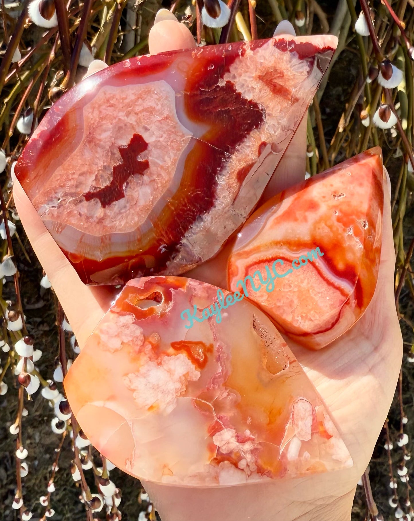 7-8 PCs Natural Carnelian Flower Agate Freeform Crystal bulk wholesale