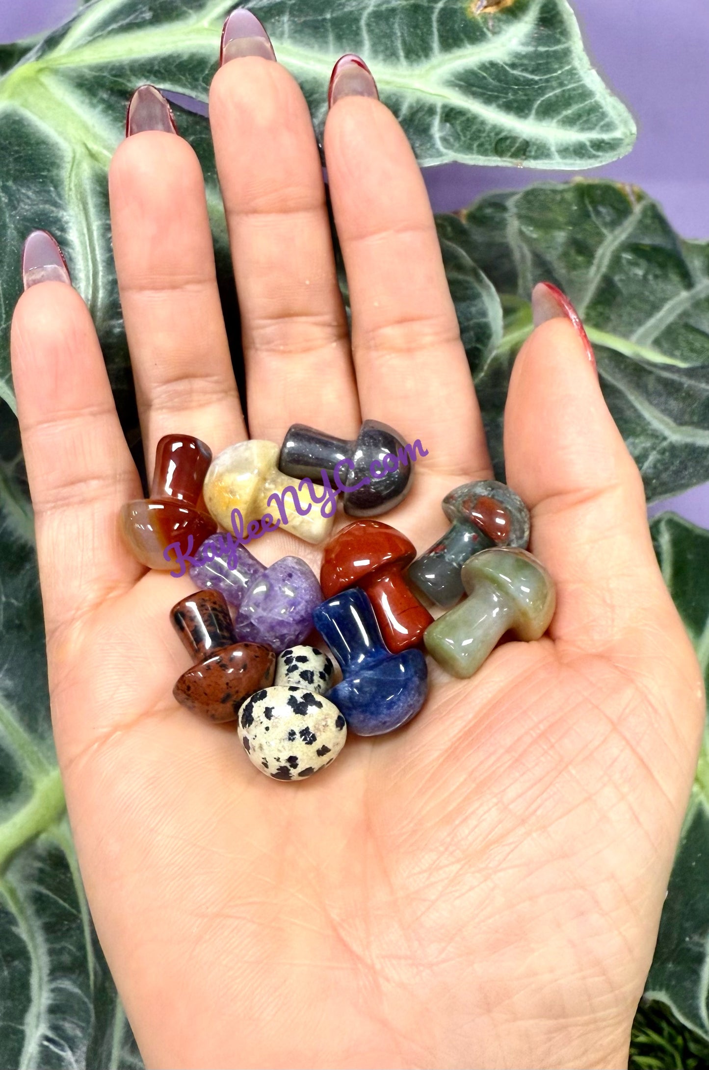 Wholesale Lot 50 PCs Mixed Crystal Mushroom 19mm Healing Energy