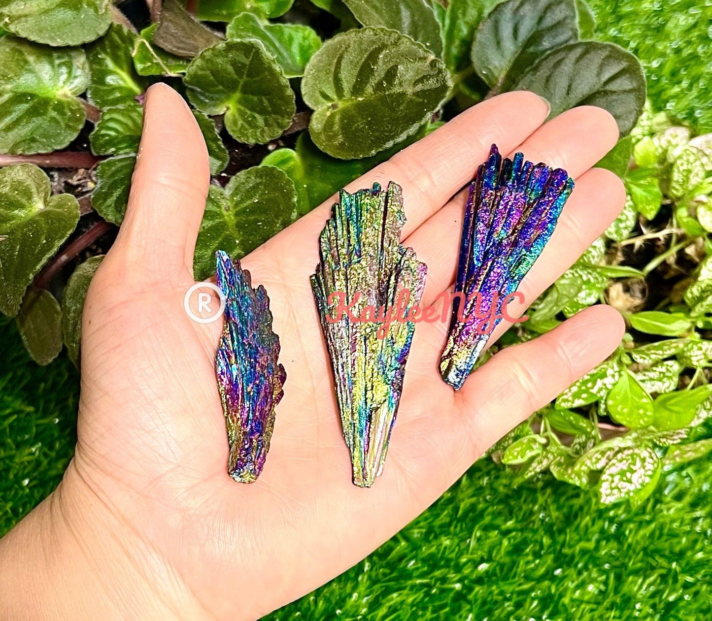 Wholesale Lot 1 Lb Natural Titanium Black Kyanite Crystal Nice Quality