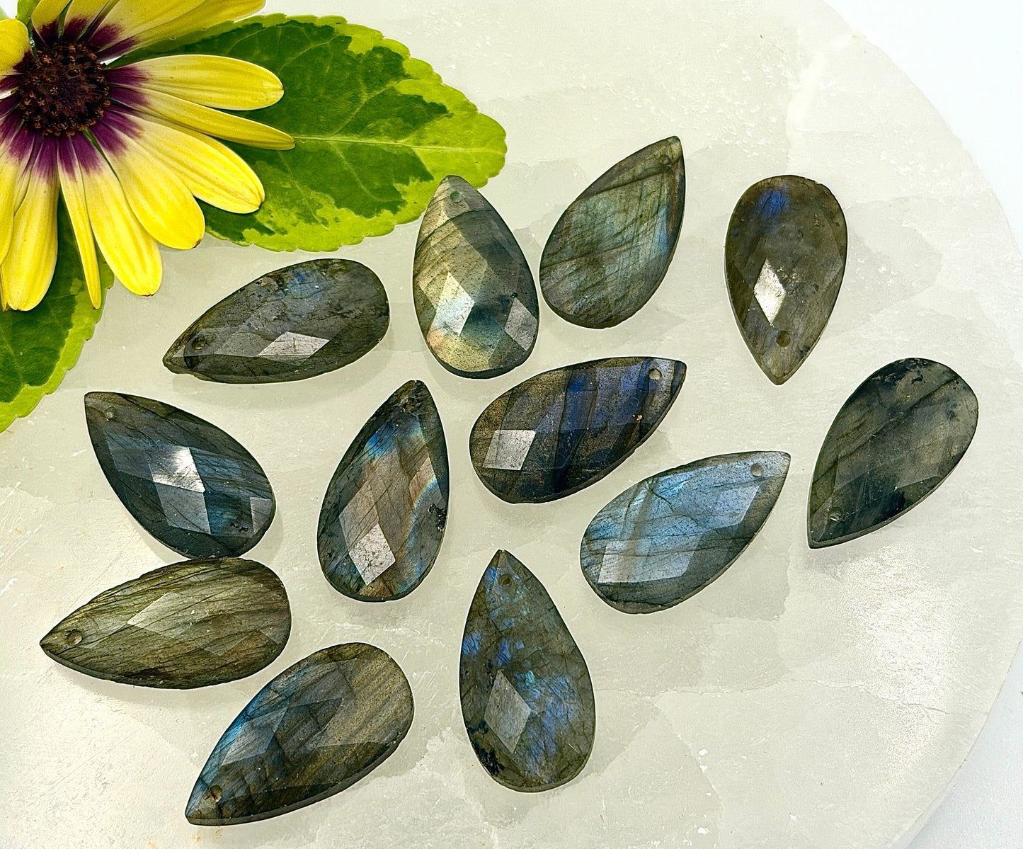 Wholesale Lot 12pcs Natural Labradorite Faceted Cabochon Crystal Healing Energy ~25mm