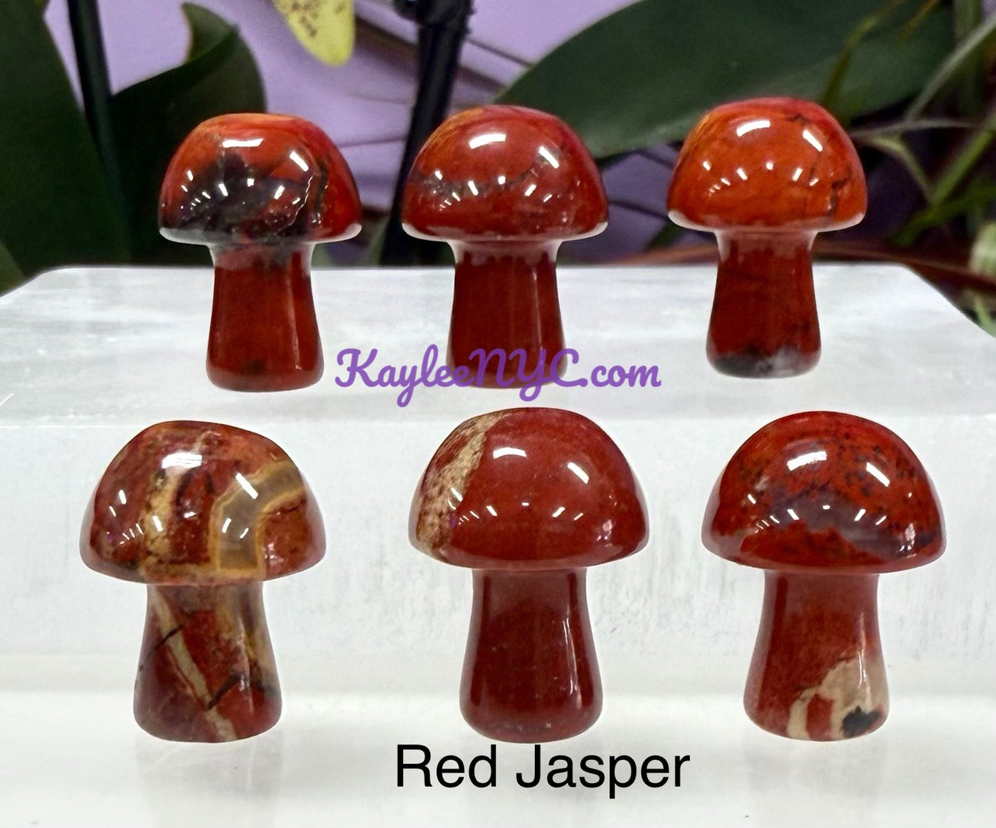 Wholesale Lot 50 PCs Mixed Crystal Mushroom 19mm Healing Energy