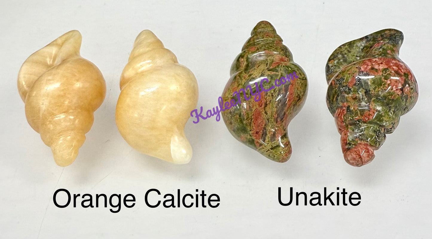 16 PCs 30mm Natural Crystals Sea Shell