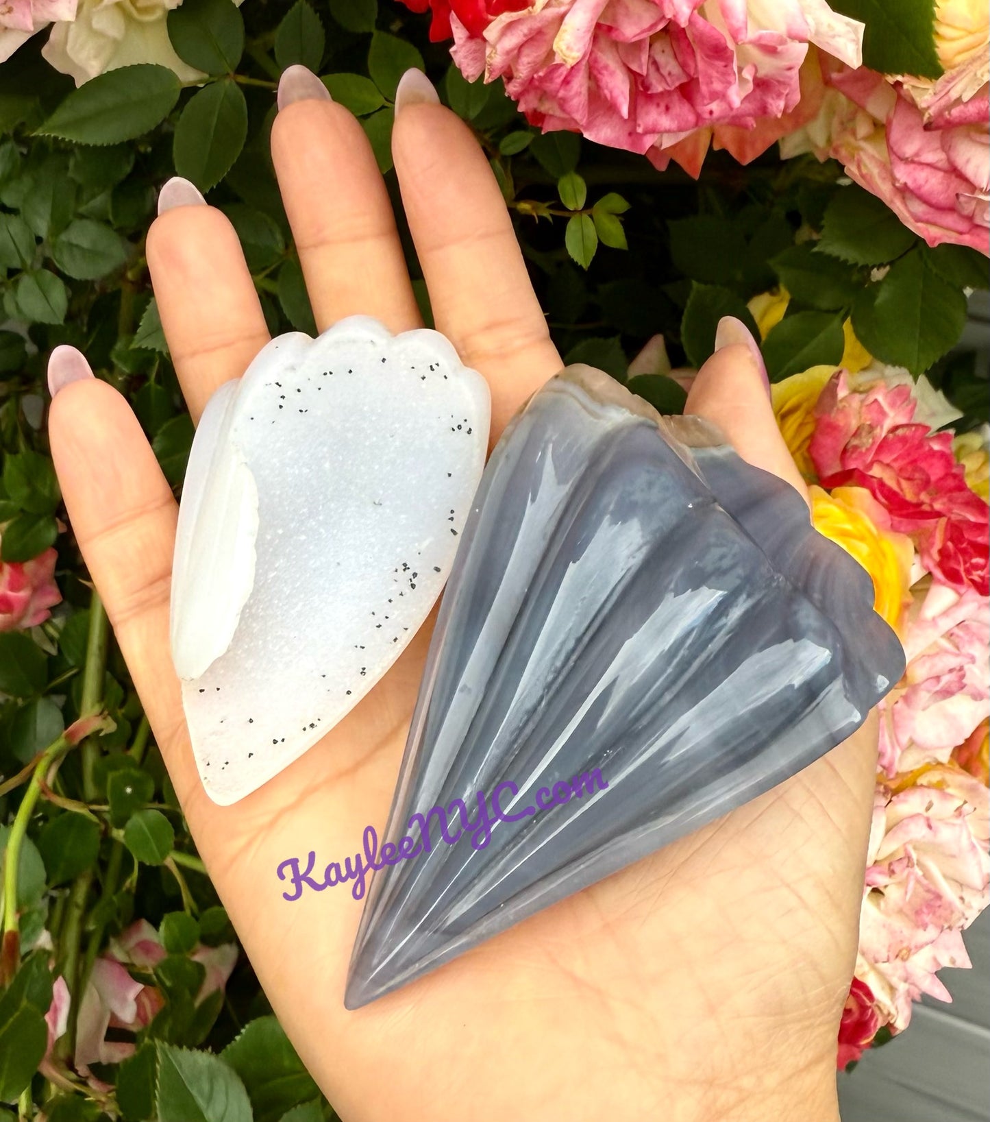 6-9 PCs Natural Druzy Agate Shell Crystals Healing Energy