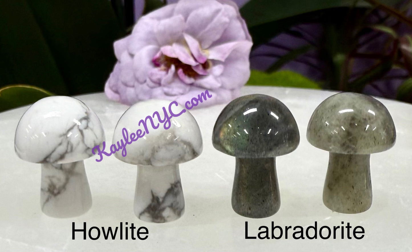Wholesale Lot 50 PCs Mixed Crystal Mushroom 20mm Healing Energy