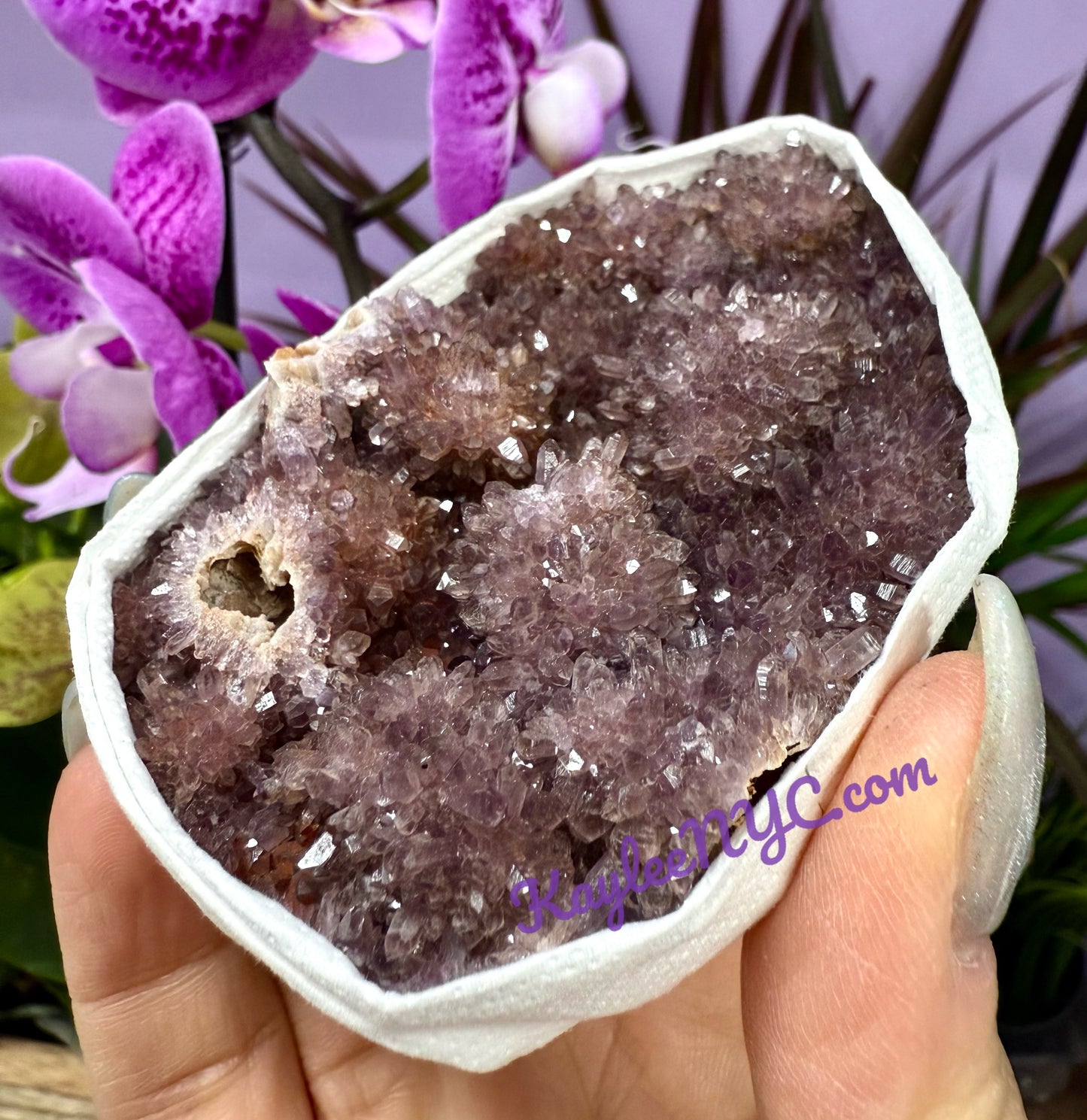 Wholesale Lot 2 lb Natural Amethyst Cluster Raw Crystal
