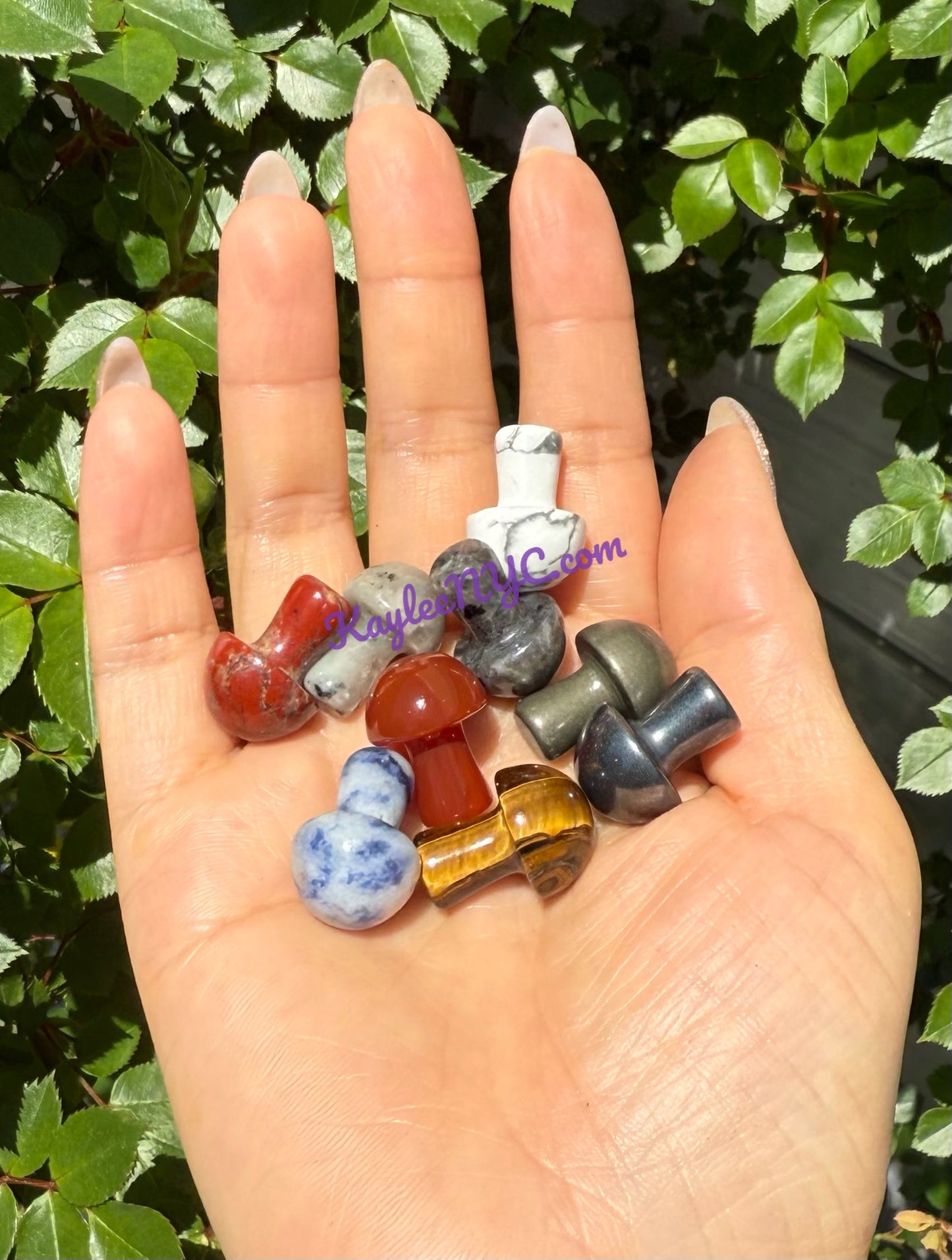 Wholesale Lot 50 PCs Mixed Crystal Mushroom 19mm Healing Energy