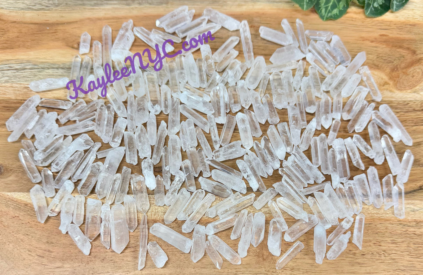 Wholesale Lot 1 Lb Natural Lemurian Quartz Small Wand Raw Crystal