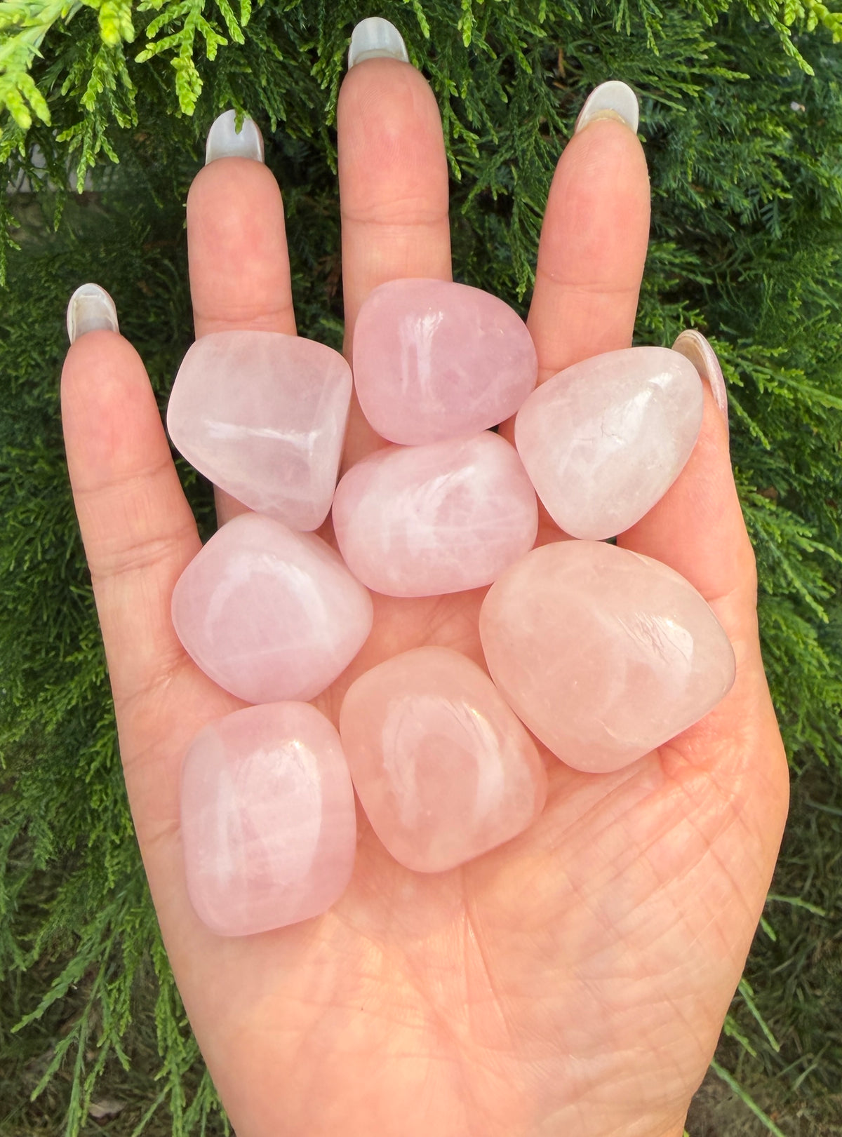 2 lbs Natural Rose Quartz Tumble