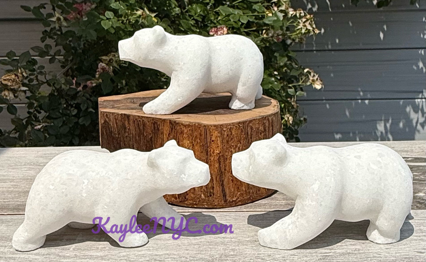 3 PCs Natural Snow Quartz Polar Bear Crystals Healing Energy