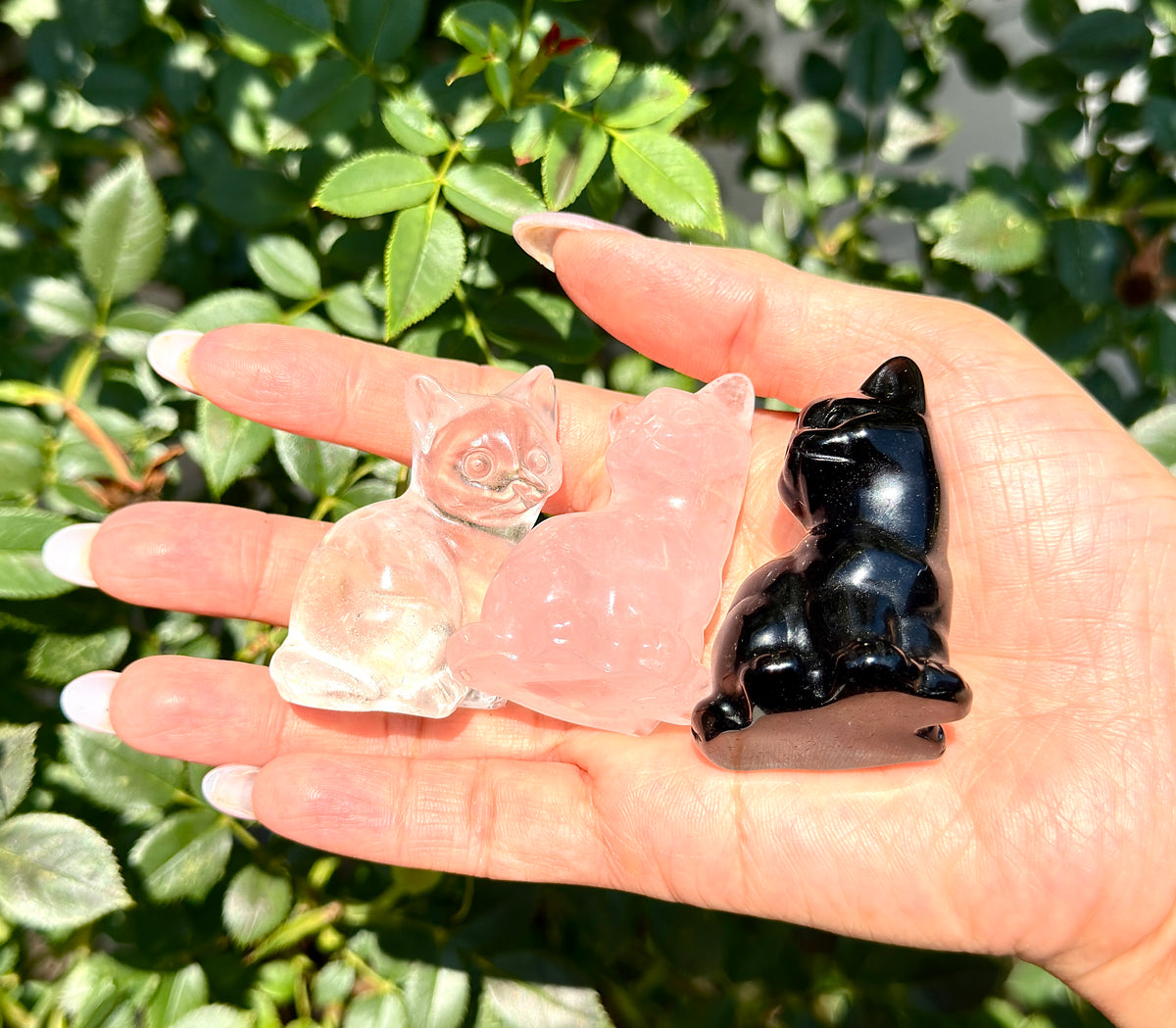 3 PCs Natural Black Obsidian Cats Crystals healing energy