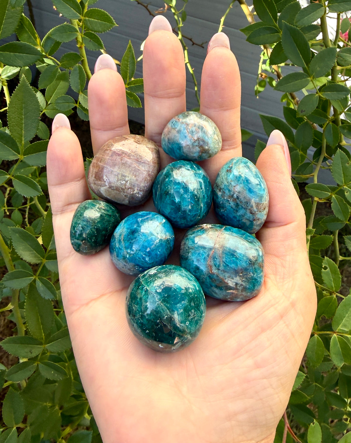 2 lbs Natural Apatite Tumble Crystals healing energy