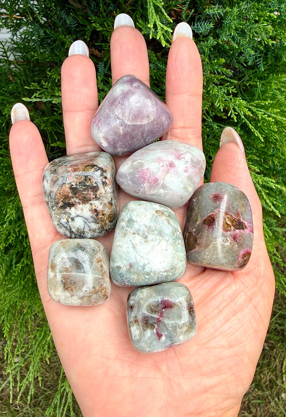 Wholesale Lot 2 lbs Natural Unicorn Stone Tumble Crystal Healing Energy