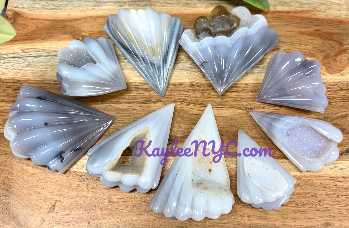 6-9 PCs Natural Druzy Agate Shell Crystals Healing Energy