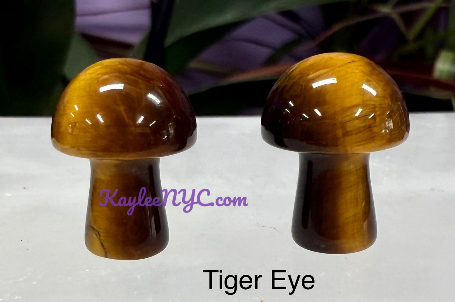 Wholesale Lot 50 PCs Mixed Crystal Mushroom 19mm Healing Energy